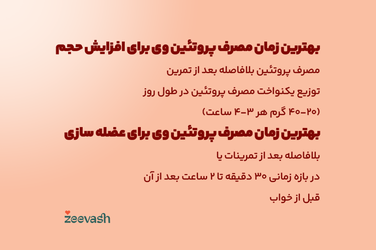 زمان مصرف پروتئین وی برای افزایش حجم و عضله سازی
